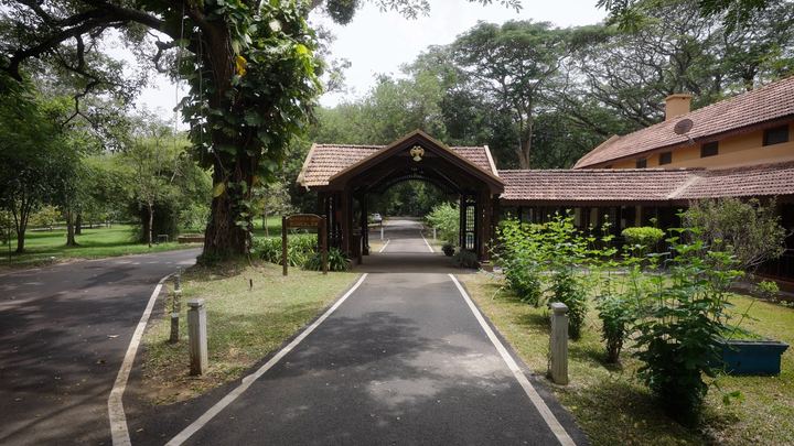 Road leading to a timber gatehouse under tall trees.